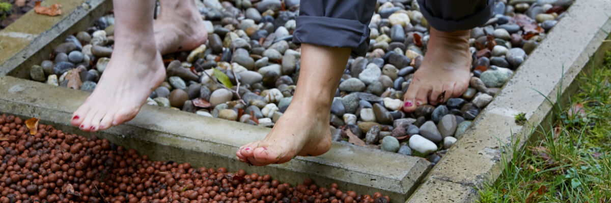 141016 Wysshoelzli1005