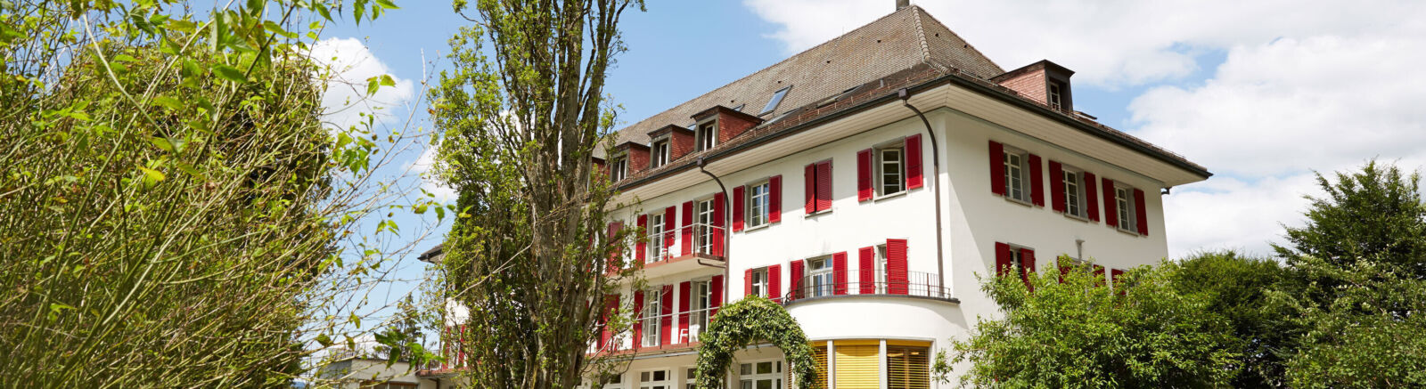 Partner und Netzwerk