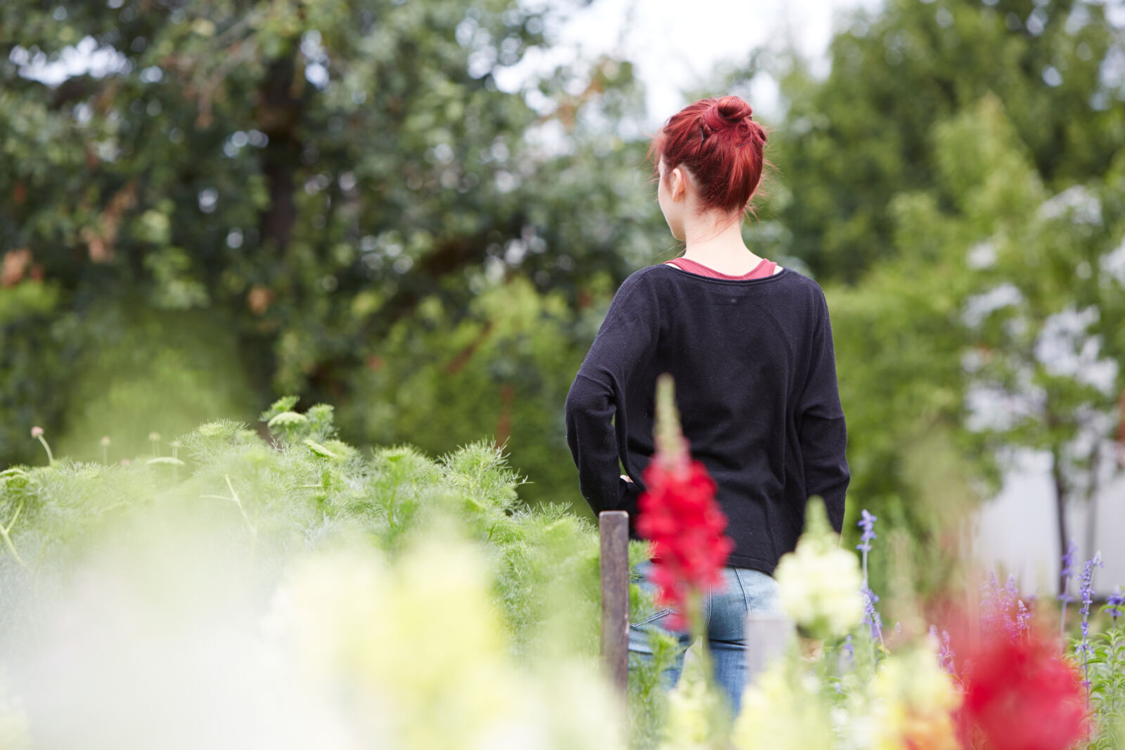 Abhängigkeitserkrankungen